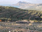 Phalasarna Kreta, Phalasarna: Grundstück zum Verkauf in Falassarna, Chania Grundstück kaufen